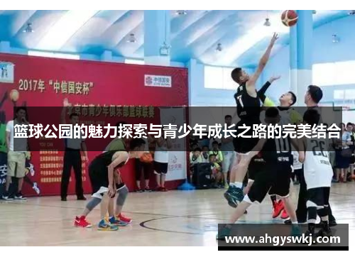篮球公园的魅力探索与青少年成长之路的完美结合