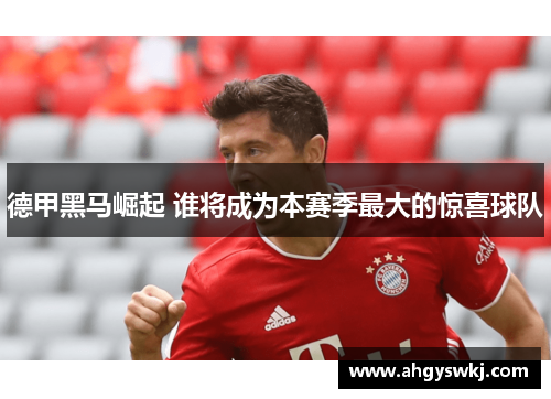 德甲黑马崛起 谁将成为本赛季最大的惊喜球队