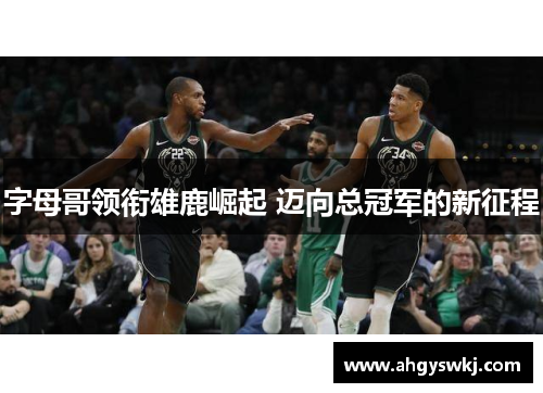 字母哥领衔雄鹿崛起 迈向总冠军的新征程