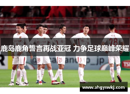 鹿岛鹿角誓言再战亚冠 力争足球巅峰荣耀
