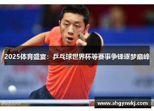 2025体育盛宴：乒乓球世界杯等赛事争锋逐梦巅峰